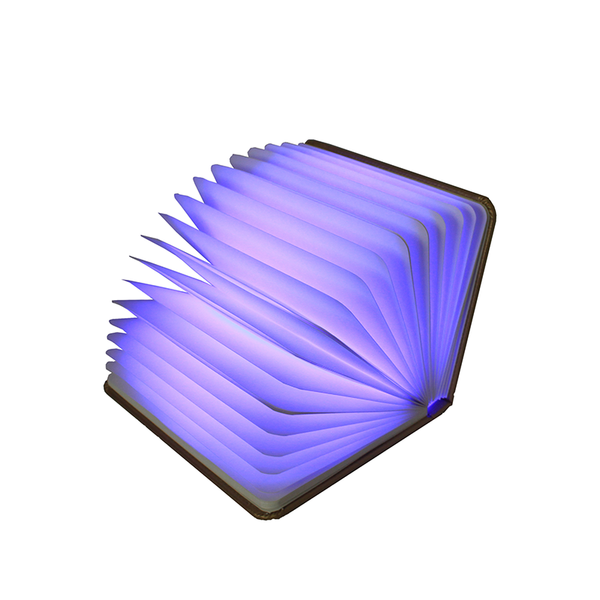 MAGIC BOOK LIGHT