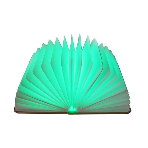 MAGIC BOOK LIGHT