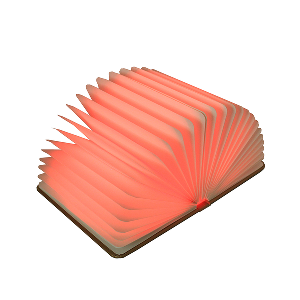 MAGIC BOOK LIGHT
